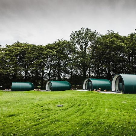 Further Space At Thornfield Luxury Glamping Pods, The Dark Hedges, Ballycastle Ballymoney Exterior foto