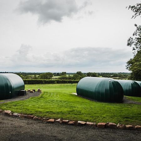 Further Space At Thornfield Luxury Glamping Pods, The Dark Hedges, Ballycastle Ballymoney Exterior foto
